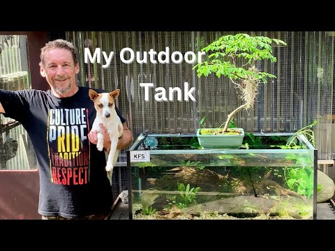 Aquarium Camping