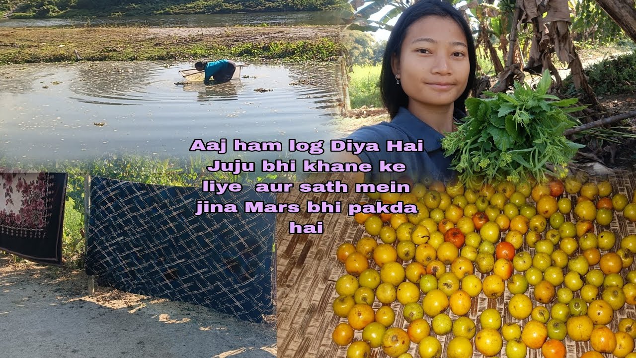 Mummy Ka Saath Fishing Kiya || jujube Collect Kiya