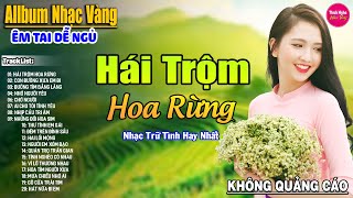 Hái Trộm Hoa Rừng ➤ LK Nhạc Vàng Xưa Hay Nhất Nhẹ Nhàng Sâu Lắng, Nghe Thử Một Lần Bạn Sẽ Nghiện