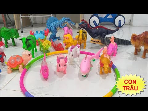 Video con bò, con trâu, con voi con, con gà, con hổ, con... - youtube