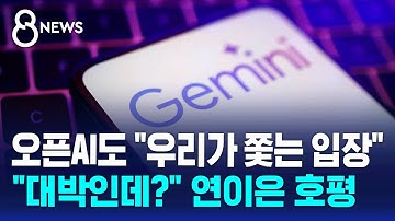 오픈AI도 "우리가 쫓는 입장"…"대박인데?" 연이은 호평 / SBS 8뉴스