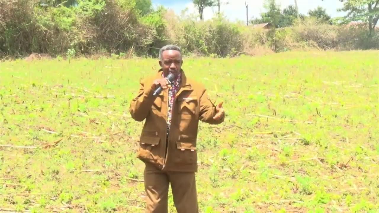 BODMAS FOUNDATION Live Stream