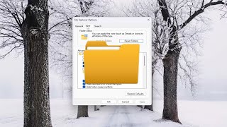 How to Reset Folder View in Windows 11 [Guide]