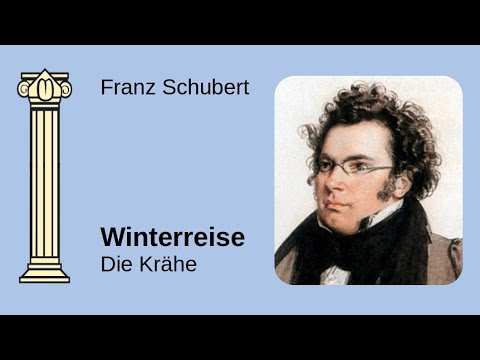 Die Krähe // Winterreise // Franz Schubert