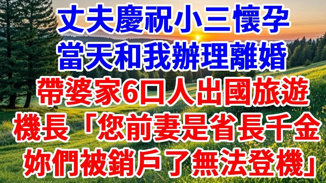 丈夫慶祝小三懷孕，當天和我辦理離婚，帶婆家6口人出國旅遊，機長「您前妻是省長千金，妳們被銷戶了無法登機」#詩涵講故事#為人處世#生活經驗#情感故事#晚年哲理#說故事#完結文#原創故事