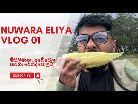නුවරඑළියේ සංචාරය 01 / නානුඔය අබේවෙල හරහා රේන්දපොලට / Nuwaraeliya travel