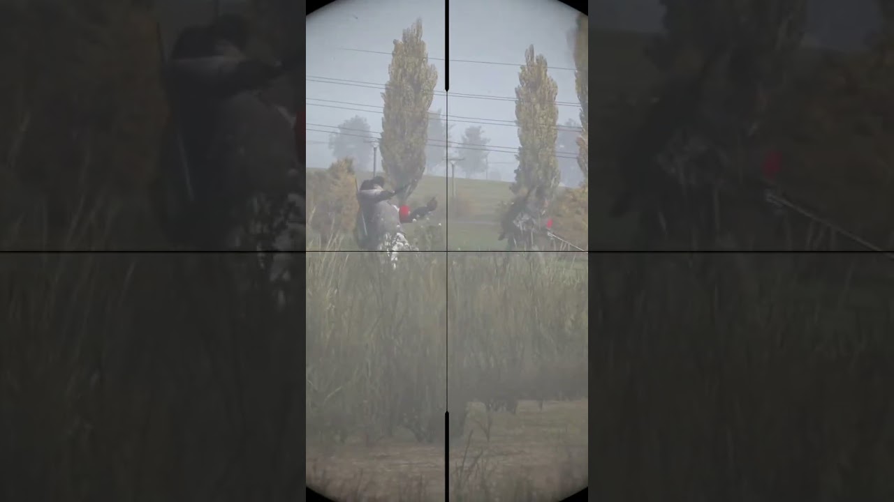 The Blaze is the BEST Sniper in DayZ 