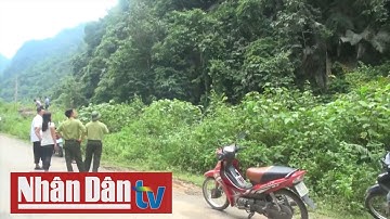 Phát huy vai trò của người dân trong bảo vệ rừng