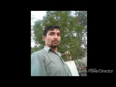 waleed al shami ana asli