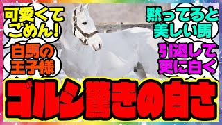 『ゴルシって白くなるの早すぎじゃない？』に対するみんなの反応集 まとめ ウマ娘プリティーダービー レイミン 競馬 ゴールドシップ