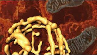 Nat. Biotechnol. | Wikipedia audio article