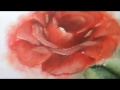 Rosa Vermelha - Pintura em tecido