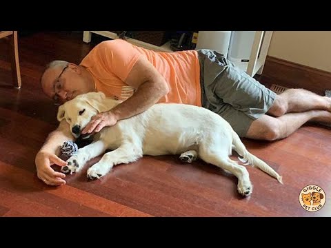 FULL Dads Who Didn't Want The Damn Dogs In Their Lives!🤣