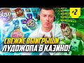 Свежие заносы Лудожопа в онлайн казино! Ice wolf, Voodoo gold, The Dog house, Cazino Zeppelin, Книги