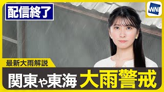 ウェザーニュースの配信のサムネイル画像