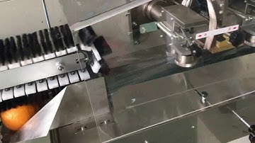 KT 350X fruit packing machine