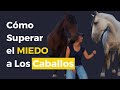 Cómo superar el miedo a los caballos. Esta técnica te sirve para tu desarrollo personal