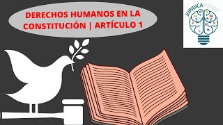 Derechos Humanos en la Constitución | Artículo 1