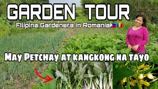 Garden Tour| May Petchay At Kangkong Na Tayo| Filipina Gardenera In Romania