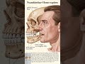 Life in the Netherlands 600,000 Years Ago: Ice Age Survival &amp; Early Humans #historicalmyths #history
