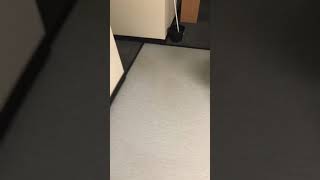 Full Monroe Community College MCC Canal Hall Dorms (first year students only) Guide
