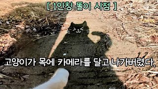 고양이가 목에 카메라를 달고 나가버렸다   [ 1인칭 고양이 시점 ]