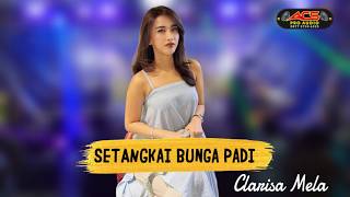 SETANGKAI BUNGA PADI - CLARISA MELA - OM ACS