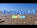 緑黄色社会『サマータイムシンデレラ』【歌詞動画】