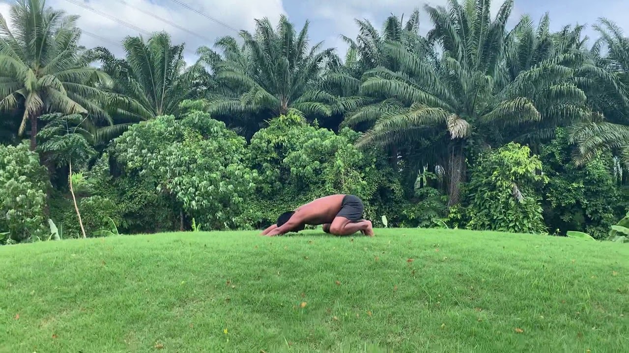 Animal Flow Phuket - YouTube