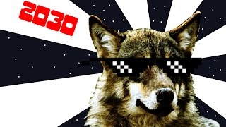 Ytp Nintenloup Wolf Intro Preview 2030