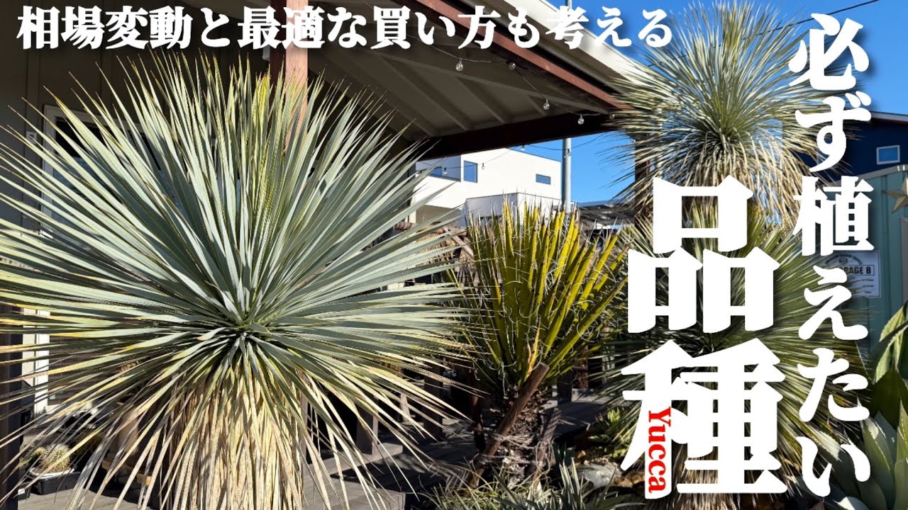 Dry Garden] Things to keep in mind when creating a dry garden