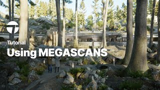 Using Megascans | Twinmotion Tutorial