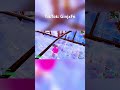 Check out the TikTok #fortnite #fortniteclips