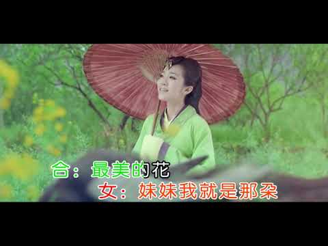 李青 vs蒋婴【浪漫三月桃花红】1280X720