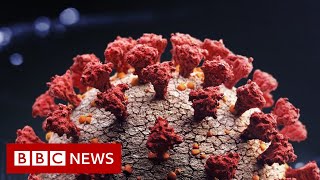 Scientists research link between Covid variants and untreated HIV - BBC News