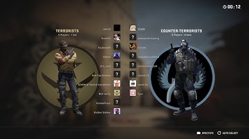 CS GO: 2 rounds of [Casual] Official Matchmaking (Defusal Group Delta)