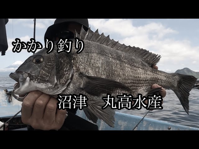 1953CAMPERSKHAN TENKER 伊豆のぬし釣り 1953CAMPERSKHAN TENKER 伊豆のぬし釣り 1953CAMPERSKHAN TENKER