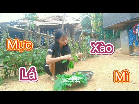 Video Hoàng TaTu| Mực xào lá mì - youtube