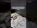 #youtubeshorts #youtubreels #catshorts #fypシ゚viral #love #resuce