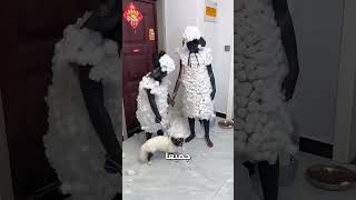   صدمة الأم  شاهد كيف حولت الطفلة كلب المنزل إلى نعجة في أغرب مغامرة تنكرية   قصص روعة  شورت سمعها