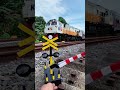 Mainin Palang Pintu Deket Kereta Api Argowilis #palangpintukeretaapi