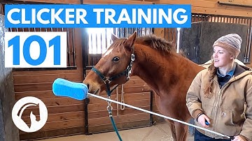How to Clicker Train Your Horse