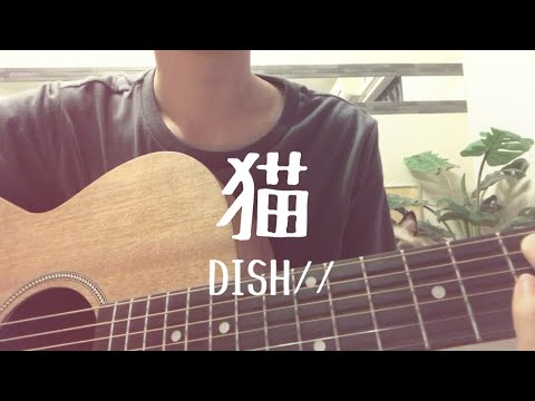 猫/DISH// 弾き語りcover
