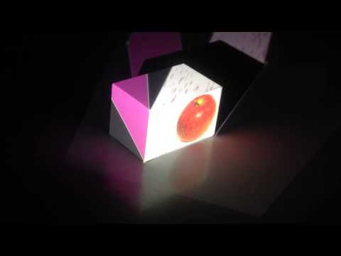 projection mapping by openFrameworks demo