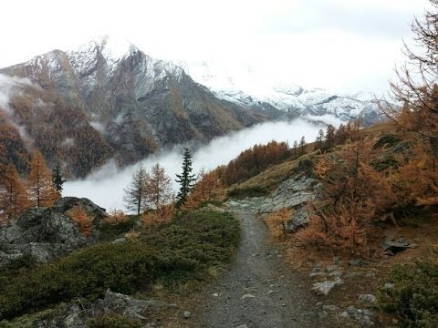 Video: Le foreste nazionali sono state chiuse?