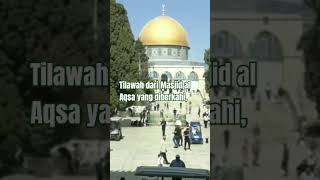 Tilawah Dari Masjid Al Aqsa Yang Diberkahi Jumat 17 Oktober 2025