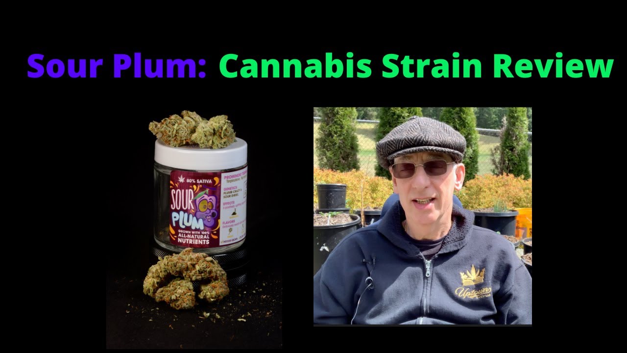 Sour Plum Cannabis Strain Review