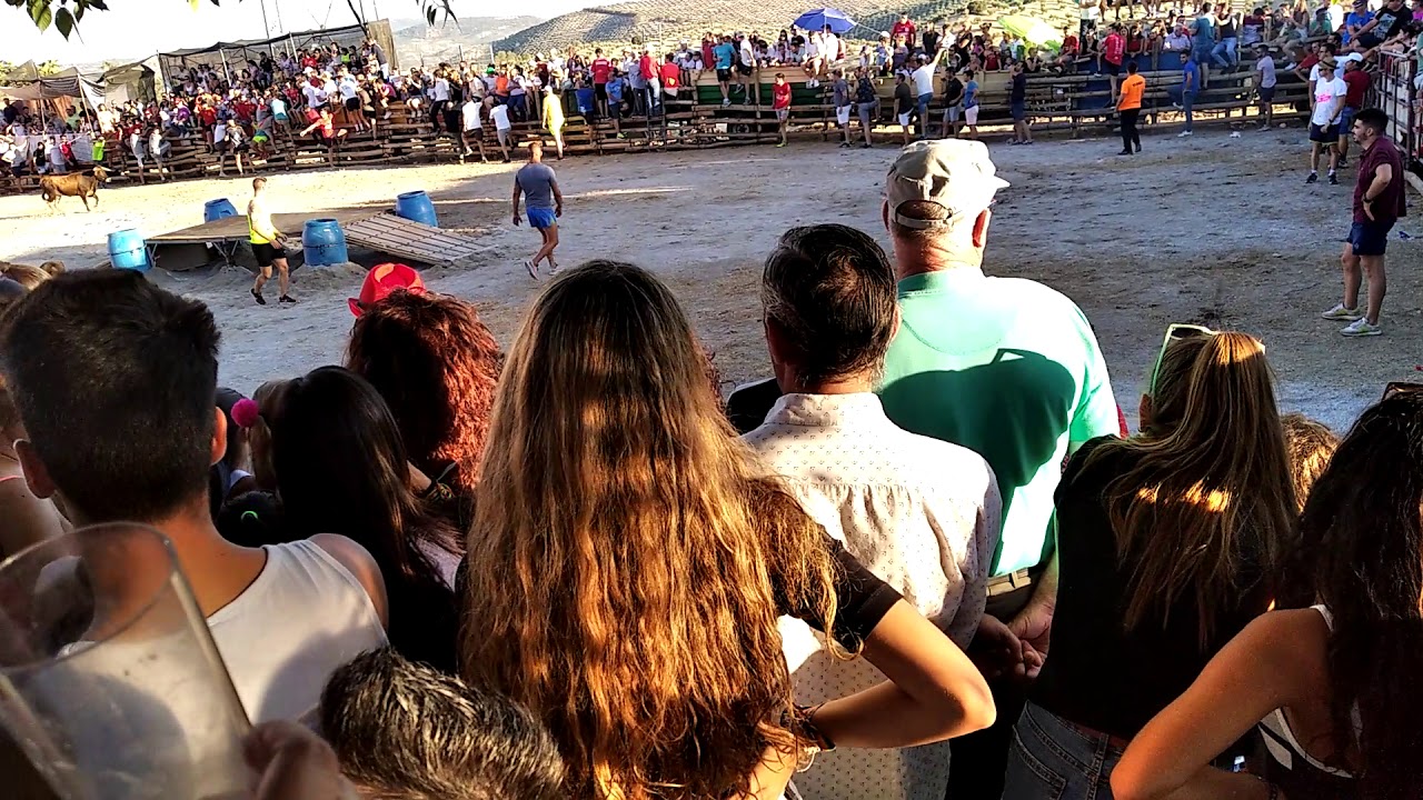 Toros NOALEJO 2019(2)