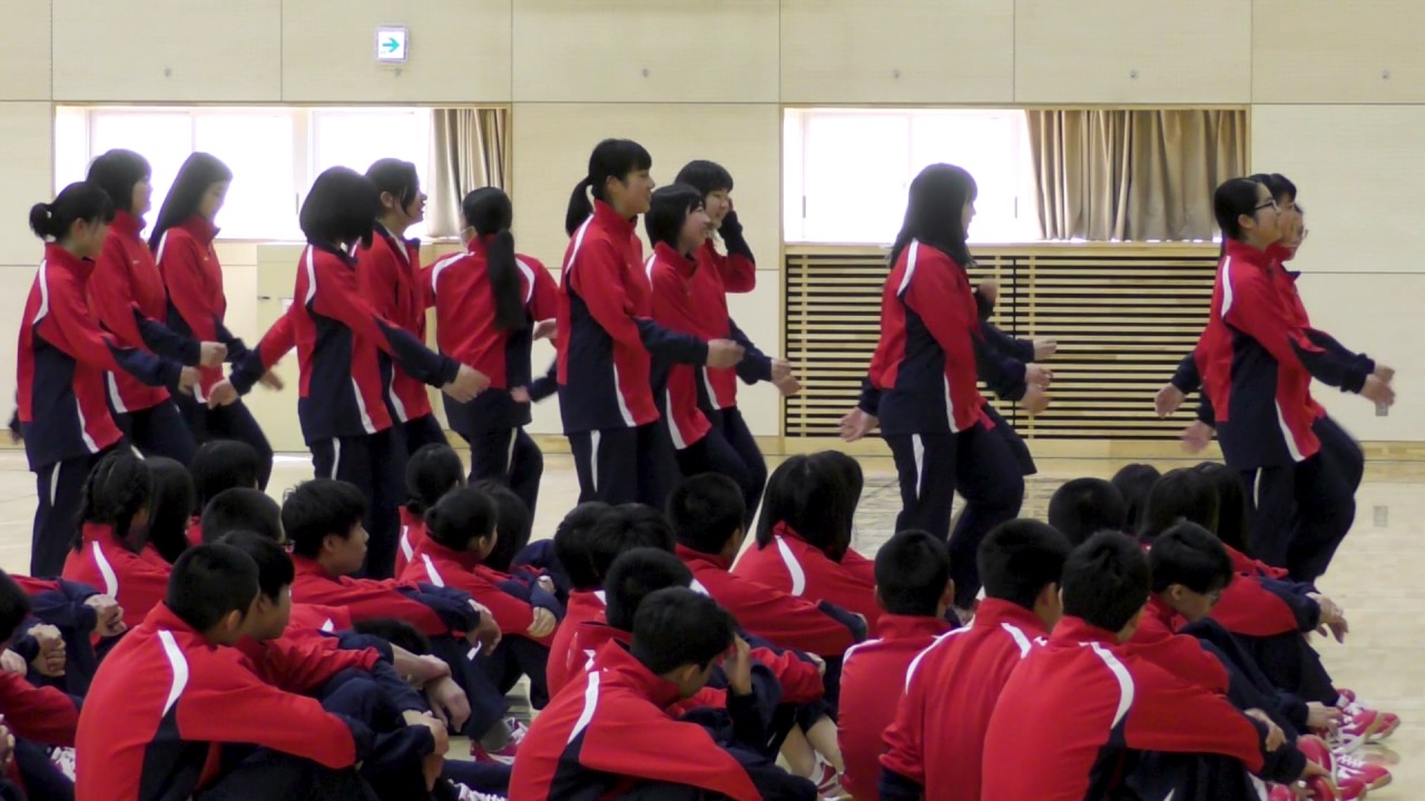 札幌北星学園附属高校ジャージ男子用 男子テニス部 | 北星学園大学附属高等学校