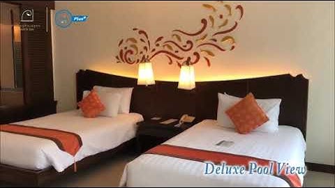 Patong paragon resort & spa ม ก ห อง